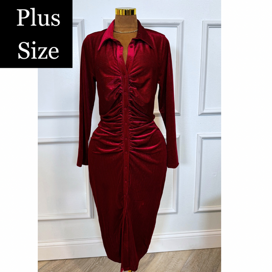 Red Plus Textured Fabric Button Down Dress