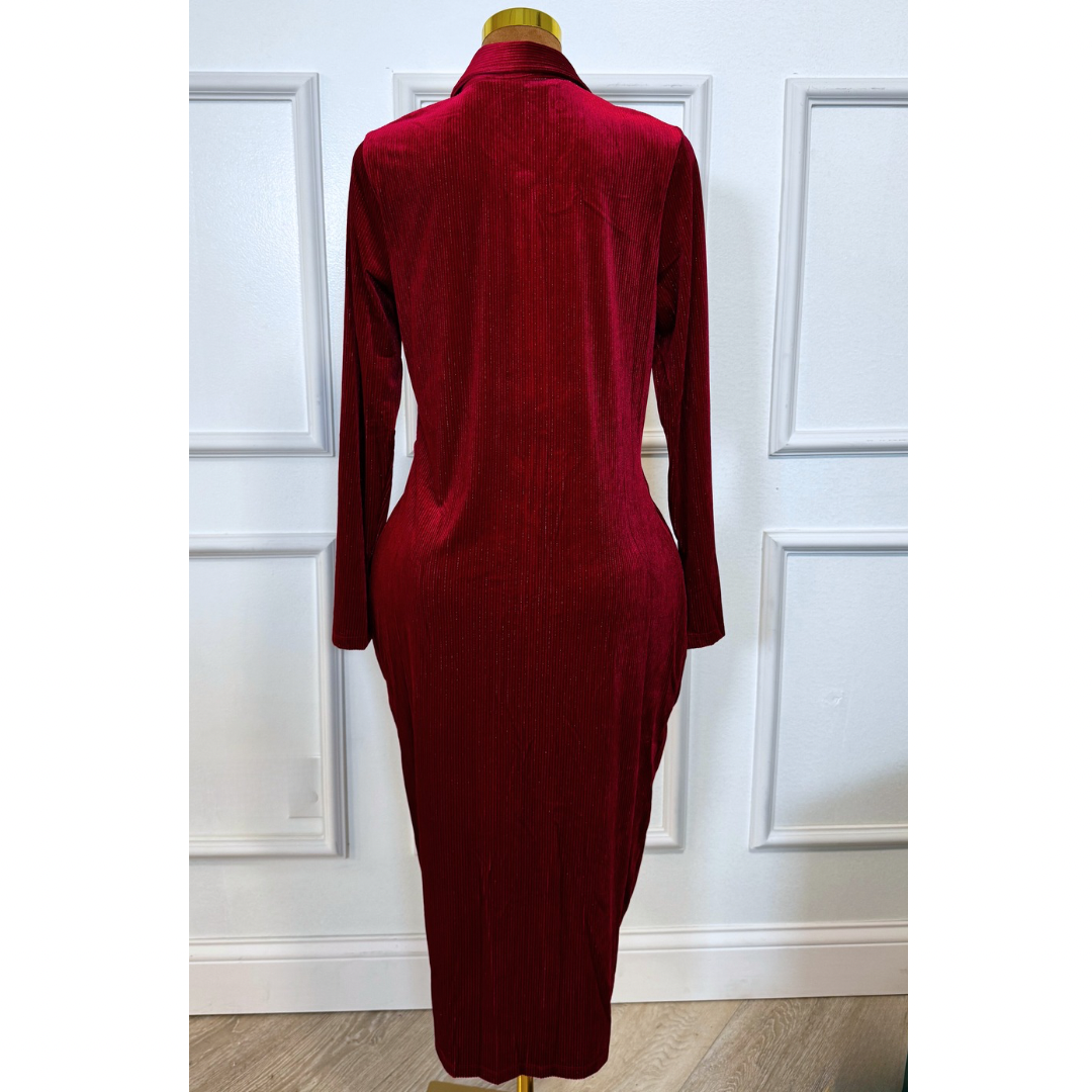 Red Plus Textured Fabric Button Down Dress
