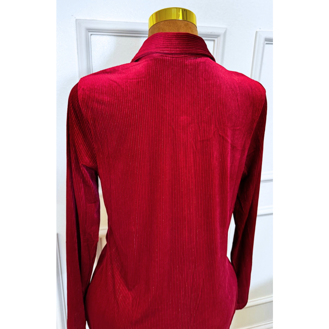 Red Plus Textured Fabric Button Down Dress